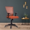 Ebeaony Mid Back Ergonomic Chair in Orange Colour