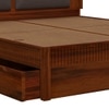 Lotus Solid Wood Queen  Size Upholstered Bed With Drawer Storage (Honey Oak Finish)