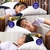 Granules Quilted 4 Pcs Adjustable Comfort Pillow 27 X 18 Inches