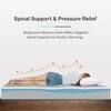 Premium Orthopedic Cooling Gel Memory Foam Mattress