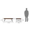 Dyson Rectangular Metal Coffee Table In Walnut Finish