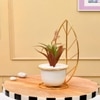 Red And Green Artificial Plant With White And Gold Ceramic Pot