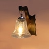 Devansh Solid Wood Electric Wall Light in Brown Colour with Transparent Shade Count of 1 Light