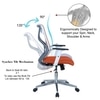 Wiwngas Mid Back Ergonomic Chair in Orange Colour