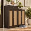 Danta Sheesham Wood Shoerack  In Walnut Finish  with Rattan Door