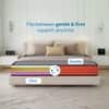 Sleepwell Dual Pro Reversible Soft Firm Mattress Enhanced Air Circulation Queen 78x66x5 Inch