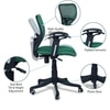 Odrione Low Back Ergonomic Chair in Dark Green Colour