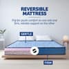 Kurlon DuoRest Essential 6 inch Single Bonded Foam Mattress (L x W: 78 inch x 30 inch)