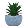 Attractive Aloe Vera Plant With Blue Pebble Patterned Design Ceramic Pot