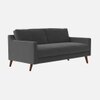Reiti Velvet 2 Seater Sofa in Dark Grey Colour