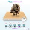 Pure Sleep Premium Orthopedic Pocket Spring Mattress