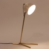 Semer  Handcrafted Study Table Lamp