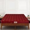 Amaze Eco Mattress with HD (High Density) Foam