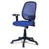 Goolda Low Back Ergonomic Chair in Blue Colour