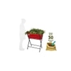 VegTrug Poppy Planter with Red Liner