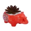 Succulent Plant Inside An Artistic Red Elephant Ceramic Pot