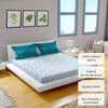 Premium Cotton Double Bedsheets with two Pillows