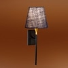 Devansh Metal Electric Wall Light in Black Colour with Blue Shade Count of 1 Light