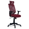 Zeeazyana High Back Ergonomic Chair in Maroon Colour