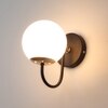 Eliante Modern Wall Lights Mild Steel, Glass & Glass Material Brown, Gold & White Finish