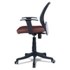 Xxeana Low Back Ergonomic Chair in Brown Colour