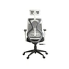 Lukano High Back Ergonomic Office Chair in Grey Colour