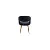 Ayatt Solid Wood Accent Chair in Black Colour