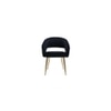 Ayatt Solid Wood Accent Chair in Black Colour