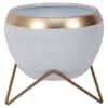 Apple Planter Set Of 2 In White And Gold Colour