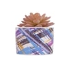 Sucullent Artificial Plant With Multicolored Stripes Along With Pot