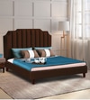 Eliana Engineered Wood Queen Size Non Storage Bed In Honey Oak Finish