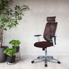 Wiweangs High Back Ergonomic Chair in Brown Colour