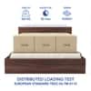 Lush Engineered Wood Queen  Size Bed With Box Storage (Walnut Finish)