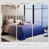 Stoa Paris Comforter for King Size Bed, 300 TC Ultra Satin Fabric  Grey Black