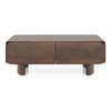 Olen Solid Wood Rectangular Storage Coffee Table In Danish Walnut Finish