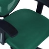 Aaeroa Low Back Ergonomic Chair in Dark Green Colour