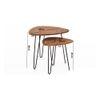 Minto Solid Wood Nested Tables - Set of 2