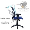 Zeeazyana Mid Back Ergonomic Chair in Blue Colour