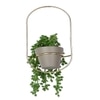 Arched Elegance Wall Planter
