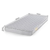 Essential Foam Single Size Mattress (Mattress Thickness : 4 Inches, Mattress Dimensions : 75 x 36 in)