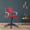 Xxeana Mid Back Ergonomic Chair in Red Colour
