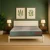 Repose Ortholux Foam PU Foam with Memory Foam Mattress (L x W: 78 inch x 36 inch, Thickness 6 Inches )