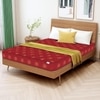 Soft Bounce Premium Orthopedic Direct From Factory
 (72 x 42 in, 8 Inches)