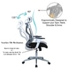Wiweangs High Back Ergonomic Chair in Black Colour