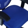 Aaeroa Low Back Ergonomic Chair in Black Colour