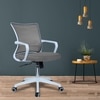 Iinea Mid Back Ergonomic Chair in Grey Colour