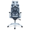 Ssilae High Back Ergonomic Chair in Grey Colour
