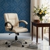 Adiko Stylish Low Back Workstation Chair