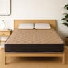 Repose Imperio ST Affordable Pocketed Spring Mattress (L x W: 75 inch x 60 inch, Thickness 6 Inches )