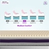 Relaxgrid with High Density  Mattress (75 x 30 in, 10 Inches)